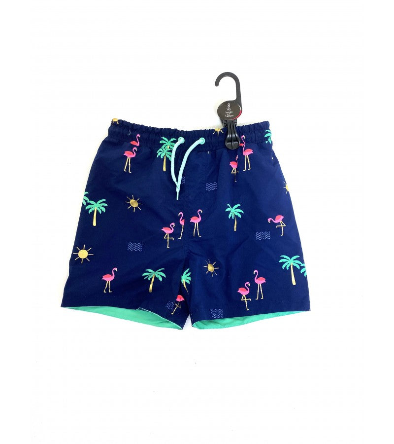 Ethan Swim Shorts