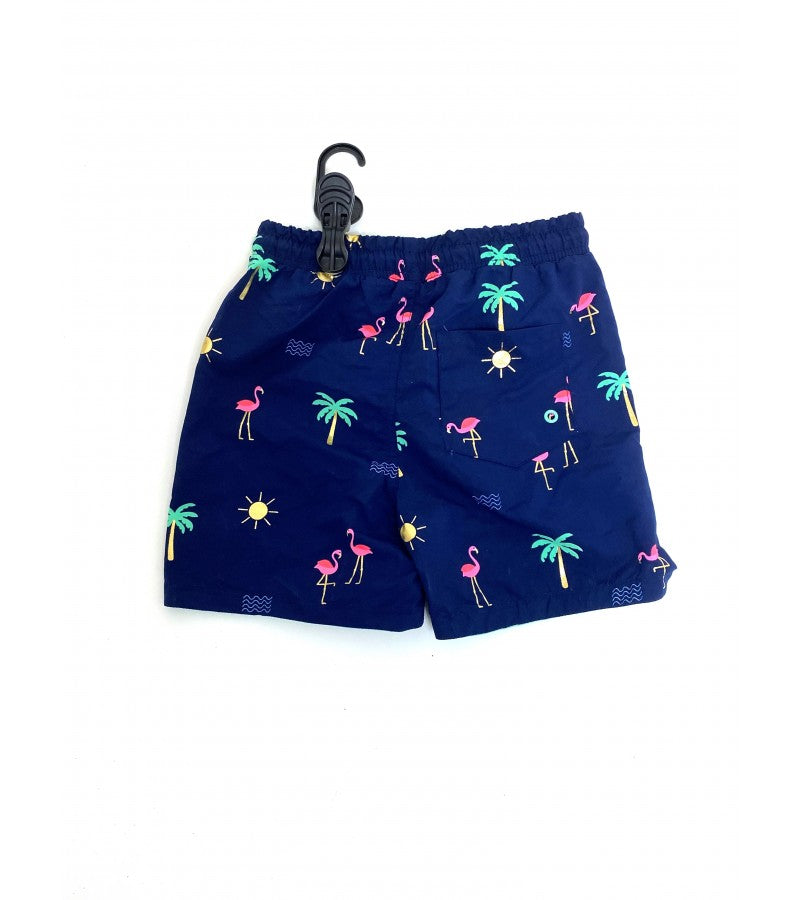 Ethan Swim Shorts